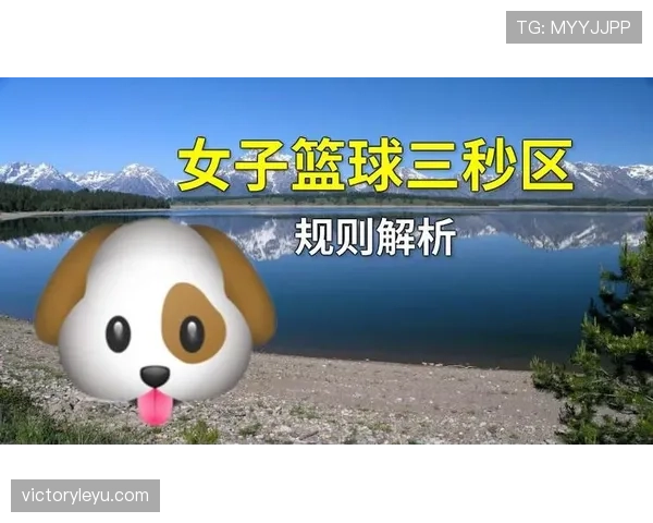 深度解读篮球三秒区规则中进攻防守违例的判定细节