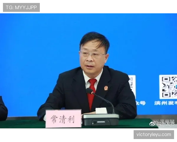 详细解析裁判协商判罚流程的规则机制与执行标准